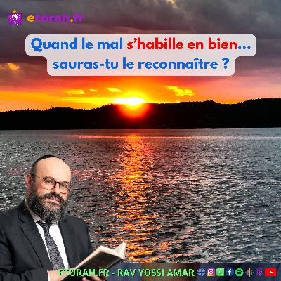Iguérèt HaKodech Ch. 12 #2: Quand le bien et le mal se ressemblent… comment choisir ?