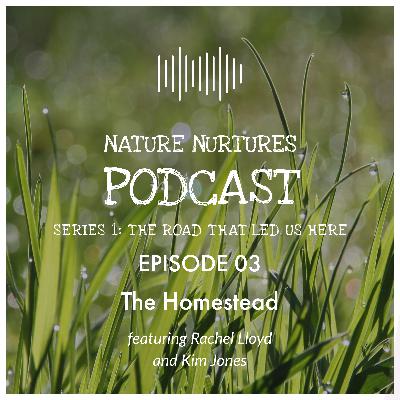 The Homestead is Doing Incredible Work The Homestead is Doing Incredible Work