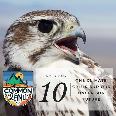 Birds of Prey Episode 10: The Climate Crisis and Our Uncertain Future