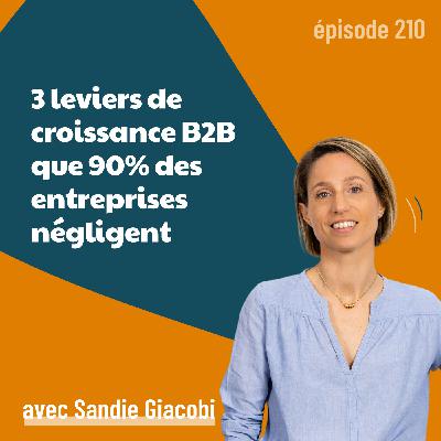 210 - Leviers de croissance B2B : 3 accélérateurs cachés pour augmenter son chiffre d'affaires