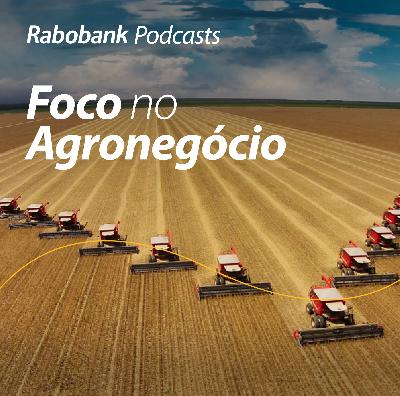 Olho no Mercado I Guerra Comercial EUA-China: Impactos na Soja Brasileira