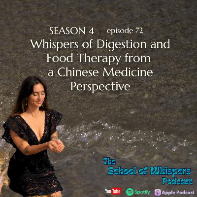 Whispers of Digestion and Food Therapy from a Chinese Medicine Perspective #72