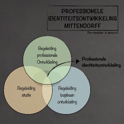 LOB Deel 2 - Professionele identiteitsontwikkeling van Mittendorff