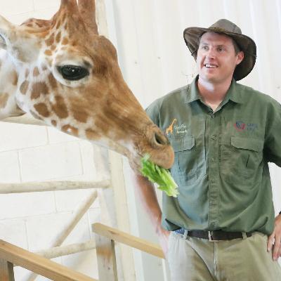 Wêreldklas kameelperd-navorsingsfasiliteit geopen