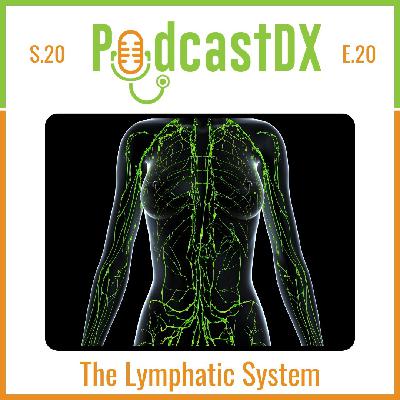 The Lymphatic System
