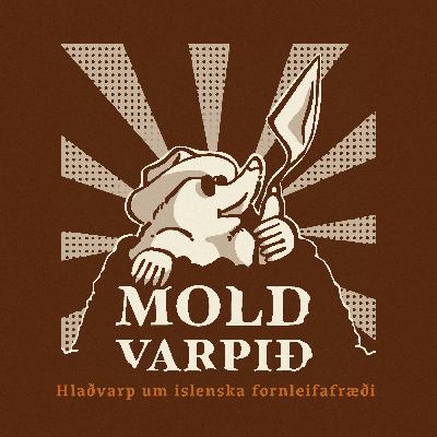 2. Heiðnar grafir á Íslandi I: Á árabát til Ásgarðs 2. Heiðnar grafir á Íslandi I: Á árabát til Ásgarðs