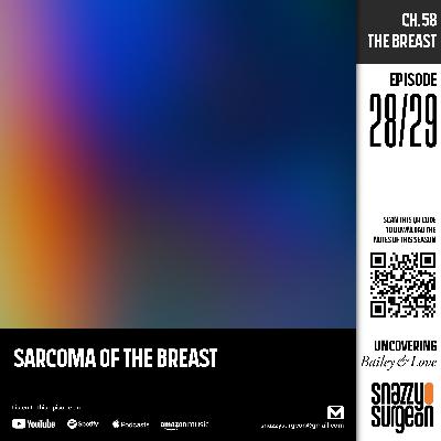 S.01 Ep.28 Sarcoma of The Breast