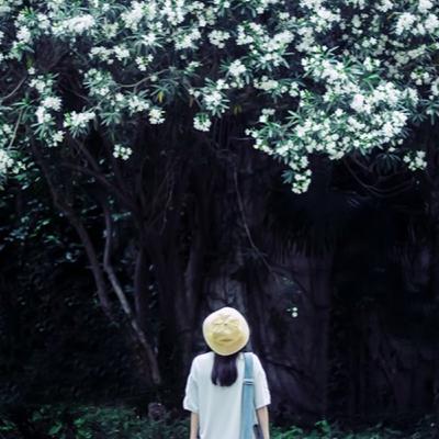 “Cánh cửa bên kia”: Nỗi đau của người phụ nữ khi bị phản bội