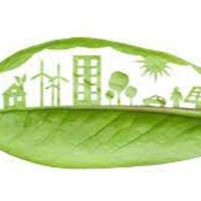 Castaño_Galván_Xami_S8