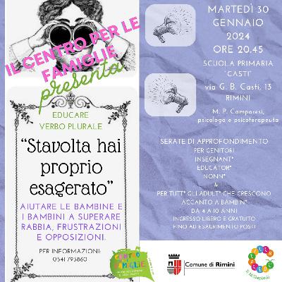 Stavolta hai proprio esagerato! Aiutare i bambini e le bambine a superare rabbia, frustrazioni e opposizioni.