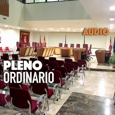 Audio Pleno Ordinario 25/09/2025 Audio Pleno Ordinario 25/09/2025
