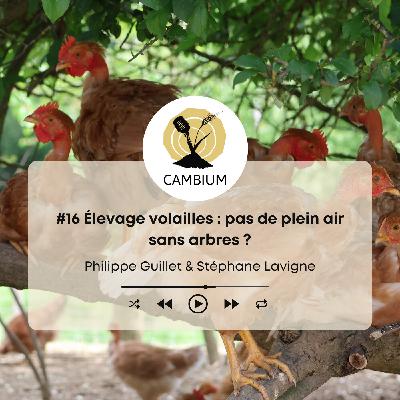 #16 - Élevage volailles : pas de plein air sans arbres ?