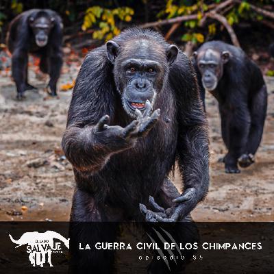 La Guerra Civil De Los Chimpances (con Julio Ortega)