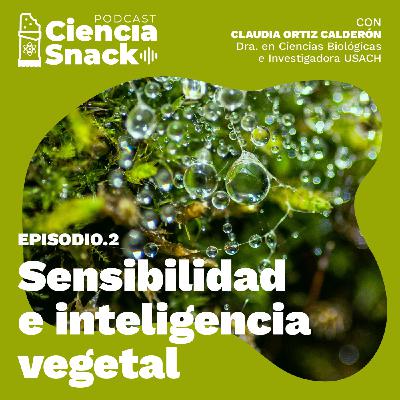 Ciencia Snack | Sensibilidad e inteligencia vegetal