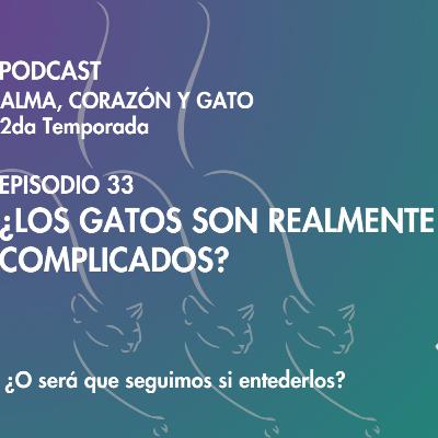 E.33: ¿Los gatos son complicados?