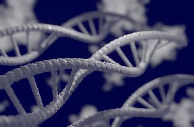 "Zinātnieku nakts 2025" aicina atklāt sevī pētnieka gēnu