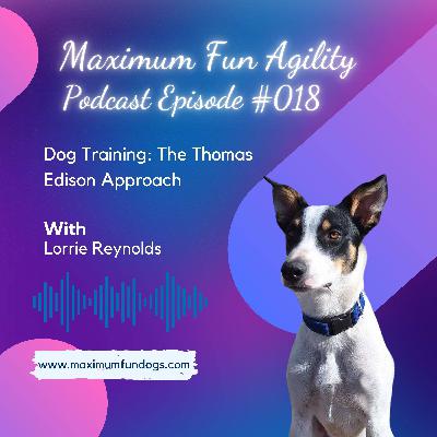 Dog Training - The Thomas Edison Approach Dog Training - The Thomas Edison Approach