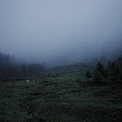 jv.「洗衣房的 02:30」真想回家 jv.「洗衣房的 02:30」真想回家