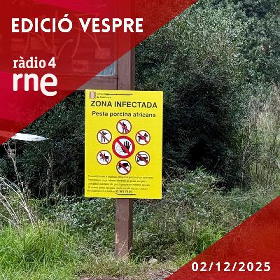 Edició Vespre - 02/12/2025 Edició Vespre - 02/12/2025