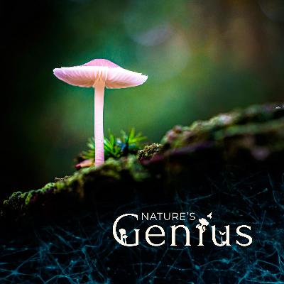 Future Ecologies presents: Nature's Genius