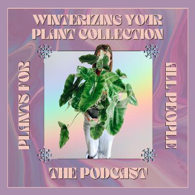 Winterizing Your Plant Collection Winterizing Your Plant Collection