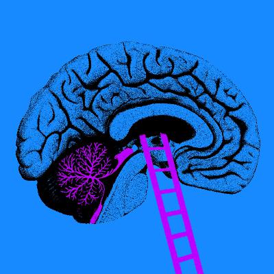 Gedächtnisforschung - Manipulierte Erinnerungen