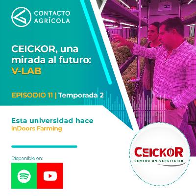 Ceickor, una mirada al futuro: V-LAB