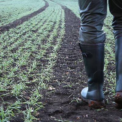 #10 Persoonilugu - Margus Ameerikas. Mees nagu orkester #10 Persoonilugu - Margus Ameerikas. Mees nagu orkester