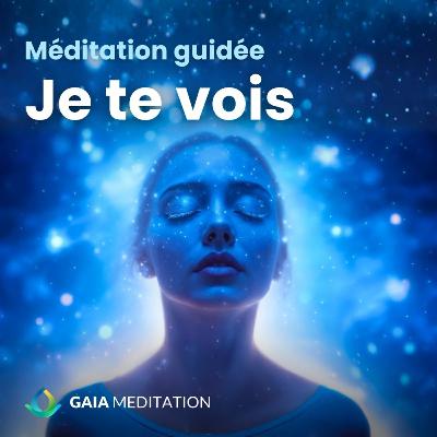 "Je te vois" : un voyage intérieur pour être enfin vu et reconnu | Méditation guidée "Je te vois" : un voyage intérieur pour être enfin vu et reconnu | Méditation guidée