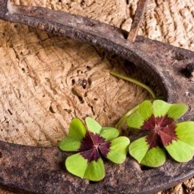 #13 - Superstitions!