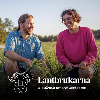 4. Småskaligt som affärsidé
