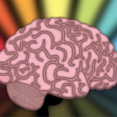 NeuroCOSE 0: presentazione