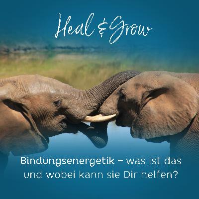 #11: Bindungsenergetik – was ist das und wobei kann sie Dir helfen?