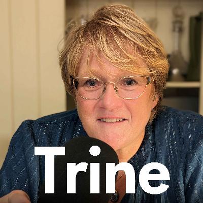 #13 Stemmeskifte #13 Stemmeskifte