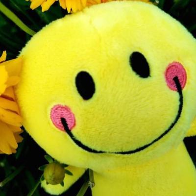 SBN Episode - @mischievousminis