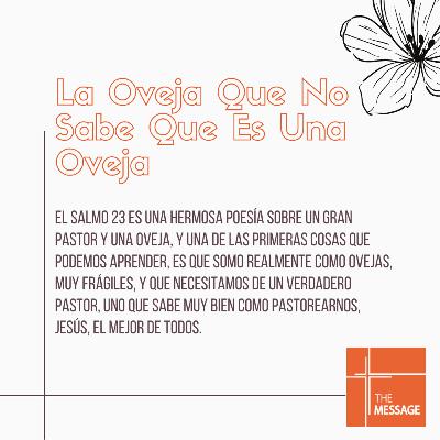 La Oveja Que No Sabe Que Es Una Oveja La Oveja Que No Sabe Que Es Una Oveja