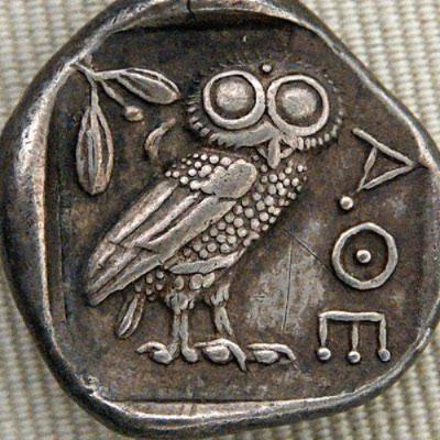 Rome: An Owl in a Thornbush