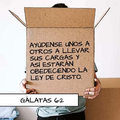 ¿Quién decís vosotros que yo soy? ¿Quién decís vosotros que yo soy?