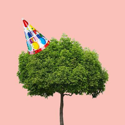 How to grow? Lessons from Parsha B'Shalach with Rabbi Avi Hill