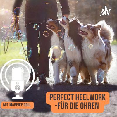Folge 33: Wie sieht eine freudige Fussarbeit denn aus?