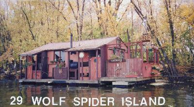 Trailer: A Wolf Spider Island Story