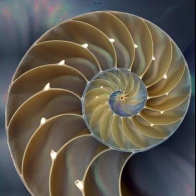 Meditazione primo capitolo