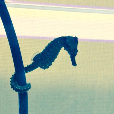 100年後のBitcoinに希望の光、取引手数料がブロック報酬を上回る