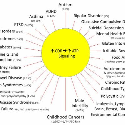 Bonus material: essay on the generational health/wealth gap