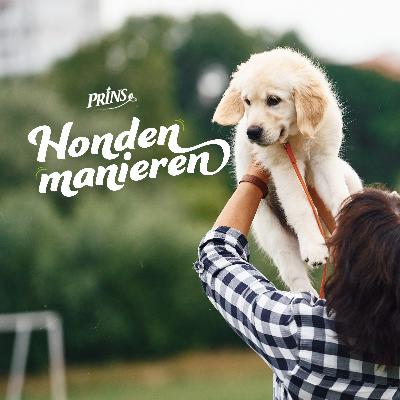 Afl. 21: Help, een wurgcontract bij je nieuwe hond