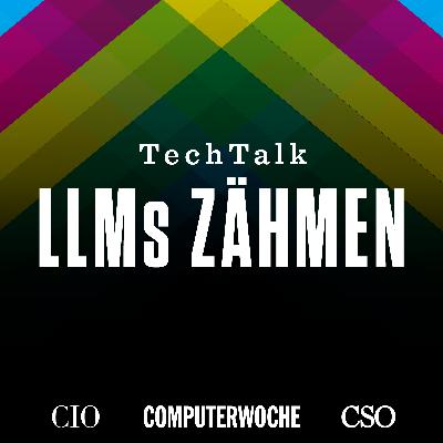 LLMs zähmen - mit Jana Richter, NFON LLMs zähmen - mit Jana Richter, NFON