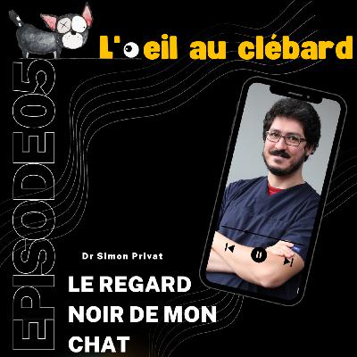 Le regard noir de mon chat (quand l’iris de mon chat devient foncé) Le regard noir de mon chat (quand l’iris de mon chat devient foncé)