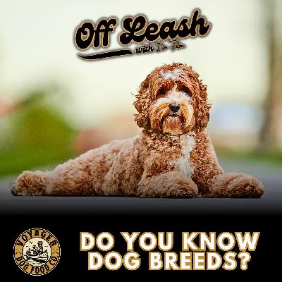 Do You Know Dog Breeds?