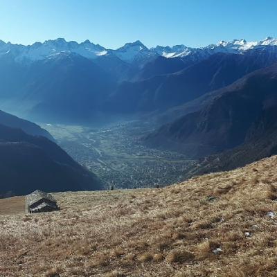 Picchi di frequenza 82