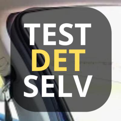 Loven om tiltrekning: Finn den PERFEKTE parkeringsplassen! // Terje tester manifestering Loven om tiltrekning: Finn den PERFEKTE parkeringsplassen! // Terje tester manifestering